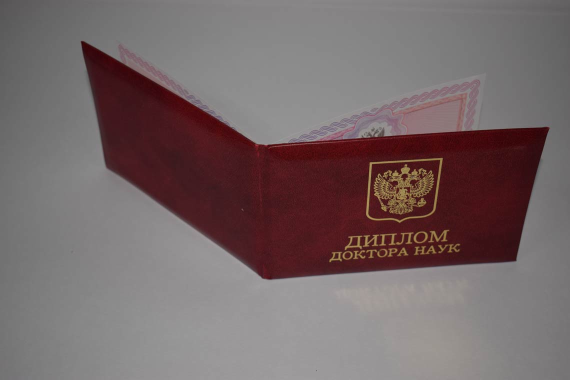 Диплом Доктора Наук 2013-2025 в Березниках корка
