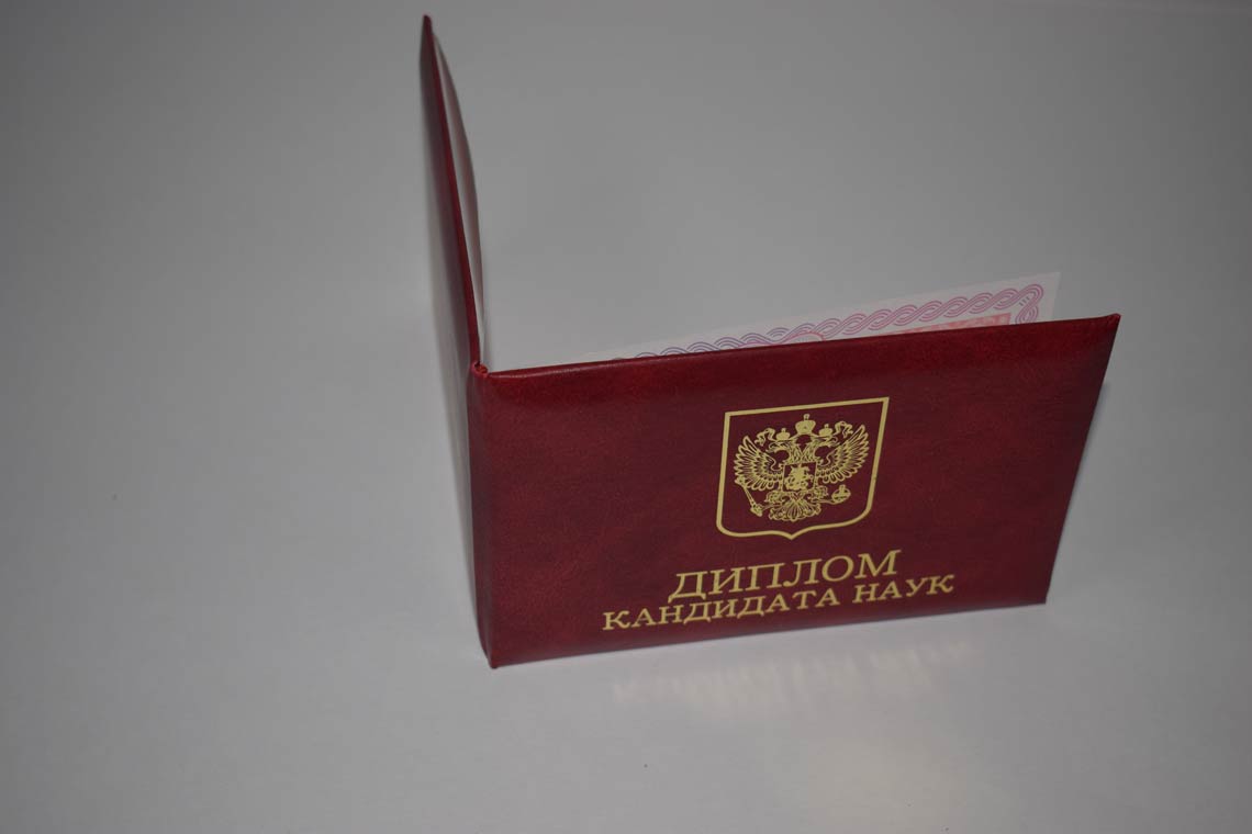 Диплом Кандидата Наук 2013-2016 в Березниках корка