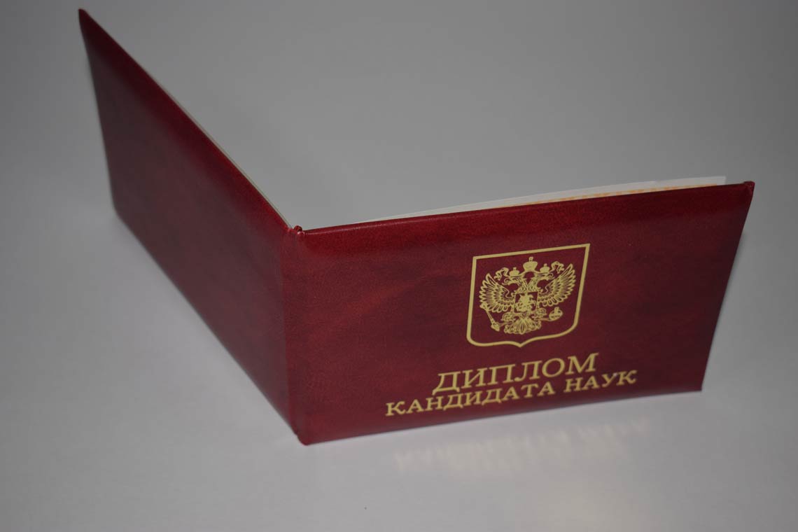 Диплом Кандидата Наук 2017-2025 в Березниках корка